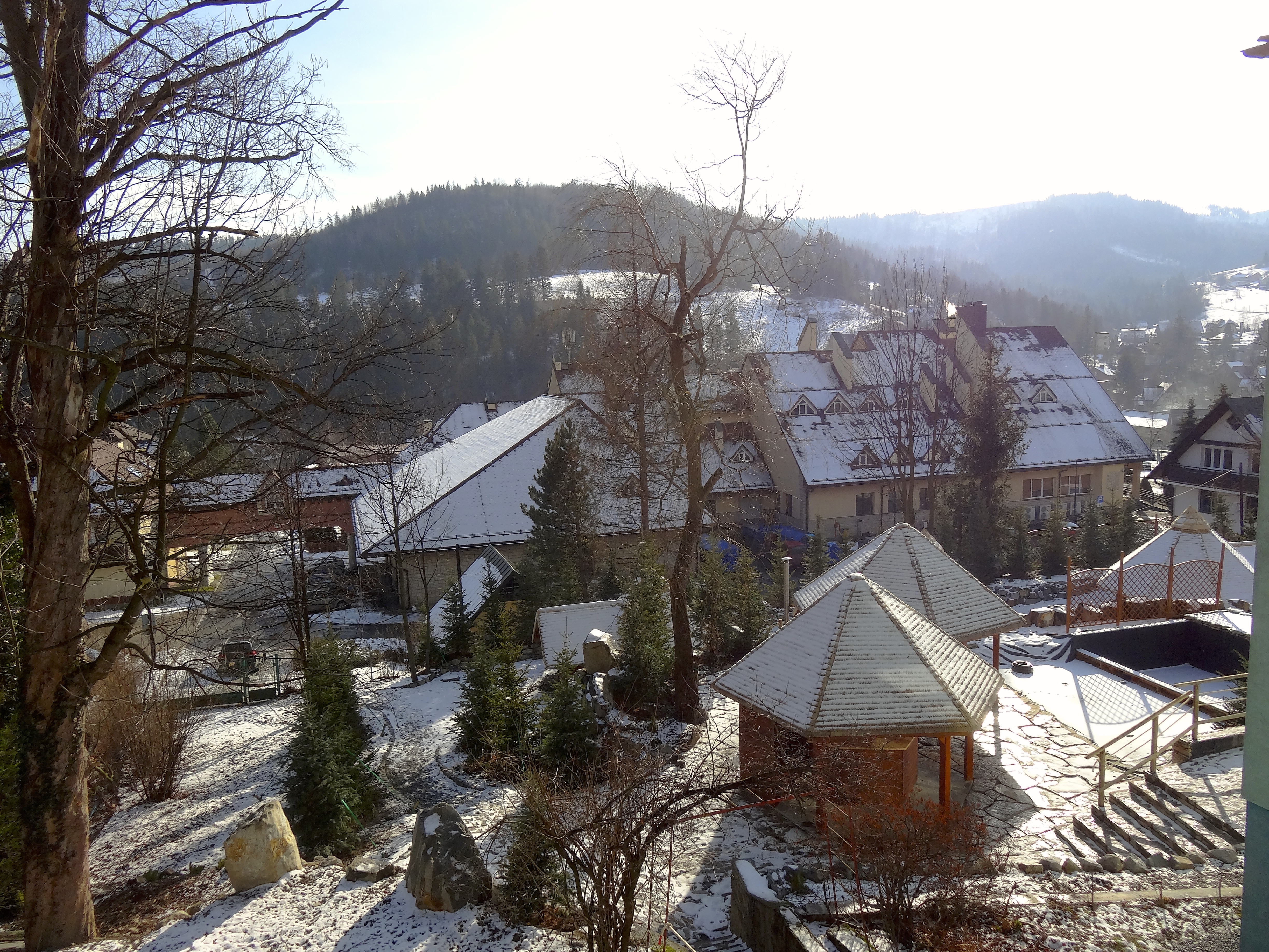 DSC01488