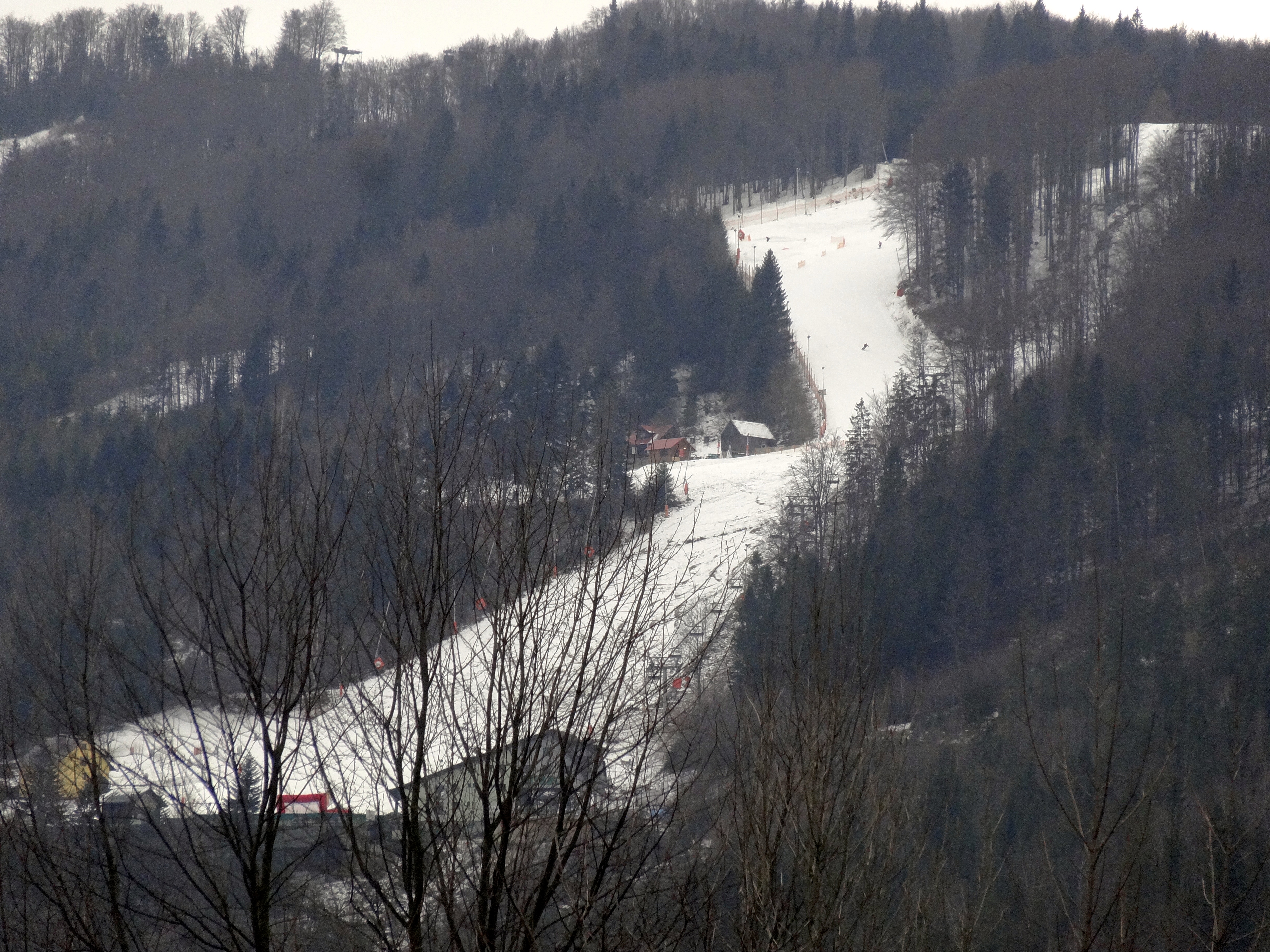 DSC01783
